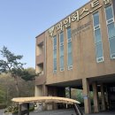 힐링골프 | 대전/세종 근교 아산 파3 [파인허스트 골프클럽] ⛳️ 여유롭고 힐링되는 숏게임 후기!