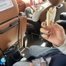 원준목장 | 강릉 당일치기 여행 l 하루 만에 돌아보는 강릉 핫플추천🤍