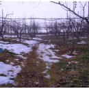 남일축산 이미지