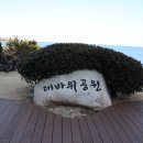 대바위공원