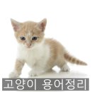 도담도담동물병원 이미지