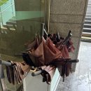 [제천] 포레스트 리솜 &#39;윤슬길 39동 2호&#39; 비오는 날 숙박 후기