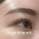 뷰티르샤 - 중구 중앙대로 26 | [운정] 운정속눈썹 LED펌포인트 연장, 속눈썹펌, 속눈썹연장 1:1 맞춤 시술 후기