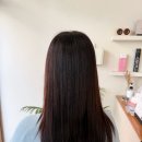 크린토피아서대구지사 | [대구 서구 미용실] ‘디아스 대구본점’ 방문 후기 | 모발클리닉