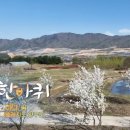 오골계식당 이미지