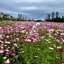 국물명가 전주콩나물 이미지