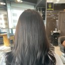 시즌미용실 이미지