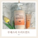 루체스터 헤어트리트먼트 단백질트리트먼트 사용법