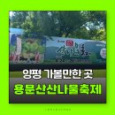 산음숲자연학교 | 경기도 가볼만한 곳 양평 용문산 산나물축제 양평축제 양평가볼만한곳