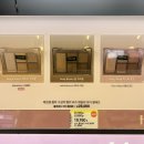 9월 올리브영 메가세일 추천 &amp; 위시리스트, 신상 모음(무지개맨션, 바닐라코, 어뮤즈, 클리오, 힌스)