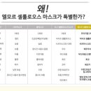 다즐링데이즈