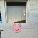 양양양양 펜션 이미지