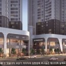 제니스 이미지