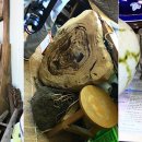 대암축산 이미지