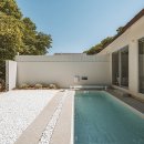 시기공추 이미지