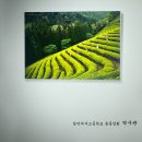 창덕여자고등학교 이미지