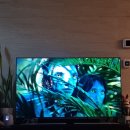 짱짱이네 | 아바타3 후기🔥 <돌비에티모스 짱짱이 짱짱>