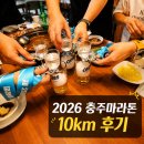 충주종합운동장 | 2026 충주마라톤 대회 참가 후기｜비 오는 날 달린 충주 10km 마라톤