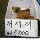 헐