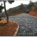 씨선 이미지