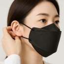 가리지오