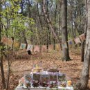 세이유치원 이미지