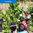 풀내음농장 이미지