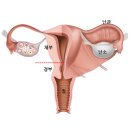 서울황내과의원 이미지