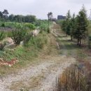 북성농장 이미지