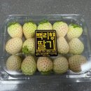 백리향 | 백리향 하얀 딸기 내돈내산 후기 궁금해서 먹어봤어요