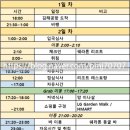 뉴파워크리닝 | [세부 여행] 2026년 올인원 정리: 일정표, 항공편, 환전, 팁, 준비물, 그랩, 숙소 등