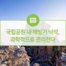 환경부소식-국립공원 내 해빙기 낙석, 과학적으로 관리한다. 이미지