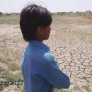 일본어(초중급) 이미지