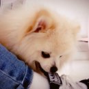 Stay here(스테이히얼) 이미지