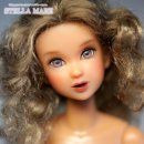 단아한펫 이미지