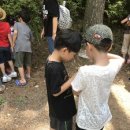 광남초등학교 병설유치원 이미지