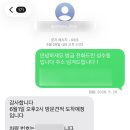 트랜스 | 서울에서 제주 이사 후기, 내돈내산 제주이사업체 추천! '제주트랜스' , 제주 차 탁송