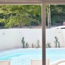 일랑일랑 스테이 이미지