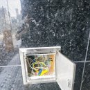 화곡비디오 이미지