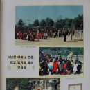 도천초등학교 앞 이미지