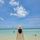 베스트마트 진주점 | 베트남 푸꾸옥 여행 경비 가족여행 패키지 비오비투어 여행사