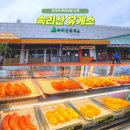 문의(청주)휴게소 편의점 | 속리산 휴게소 청주방향 먹거리 편의시설 당진영덕고속도로
