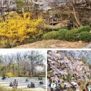 설레인 이미지