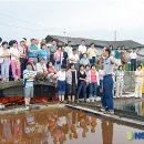볏가리마을 Daum카페