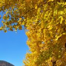 부원공원 이미지