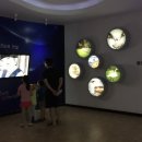 화진포 생태박물관 이미지