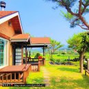 범바위 독채 황토집 | 1박2일 강원도여행🤟 _홍천 범바위 독채 황토집 : 댕댕이들 놀기 좋은 시골감성 넘치는 숙소