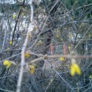 좌천마을회관 이미지