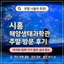 생태교육센터숲터 | 시흥 해양생태과학관-주말 현장 발권, 예약 방법, 주차 후기
