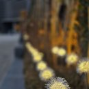 덕산 리솜스파 이미지